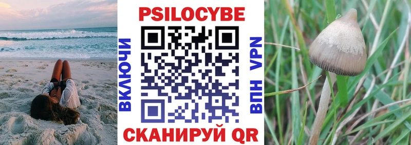 Галлюциногенные грибы GOLDEN TEACHER  ОМГ ОМГ вход  Тайга  даркнет сайт 