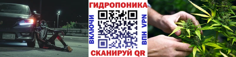 kraken маркетплейс  где можно купить наркотик  Тайга  Шишки марихуана семена 